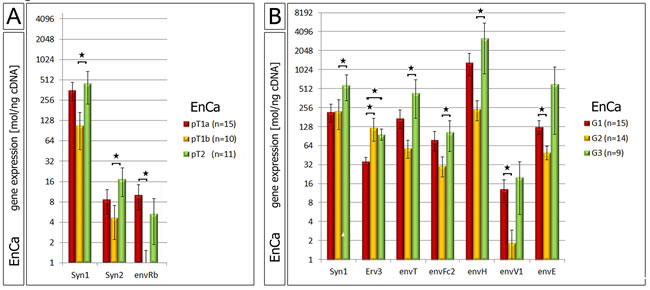 Correlation of ERV env genes with EnCa staging and histology.