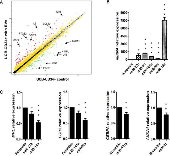 Gene expression profile of UCB treated with BM-MSC-EVs vs control and correlation with EVs miRNAs.