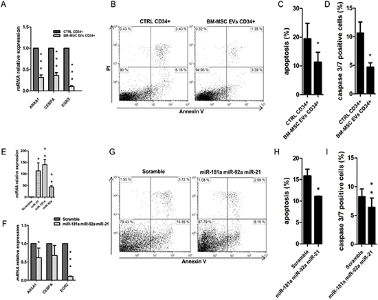 Apoptosis analysis in UCB-CD34+ treated with BM-MSC-EVs vs control.