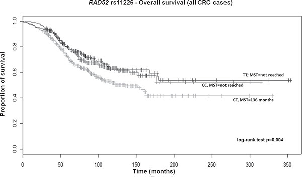 Kaplan-Meier OS curves for RAD52 rs11226 in all CRC patients.