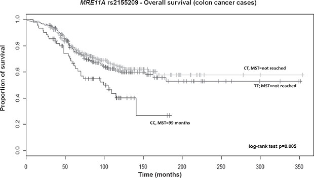 Kaplan-Meier OS curves for MRE11A rs2155209 in colon cancer patients.