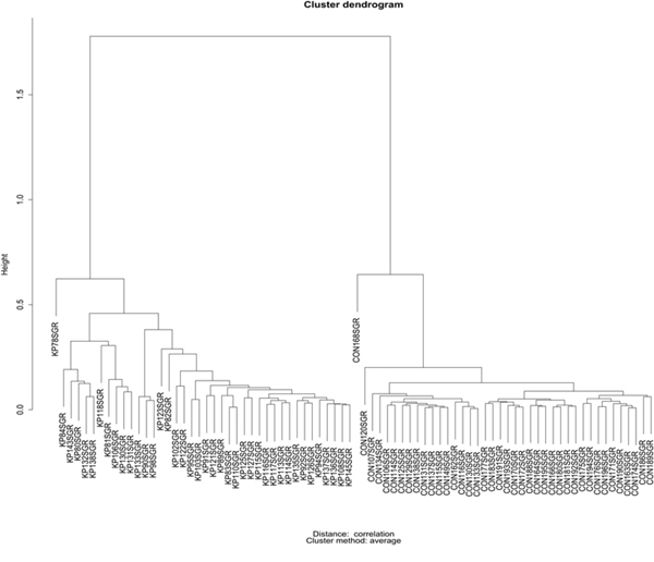 Hierarchical clustering for the 16 selected metabolites listed in Table 1.