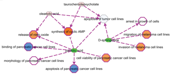 Metabolites involvement in critical functions and pathways related to the cancer onset/progression.