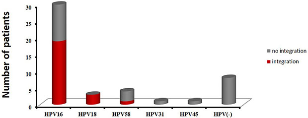 The distribution of HPV subtypes in 47 cervical cancer cases.