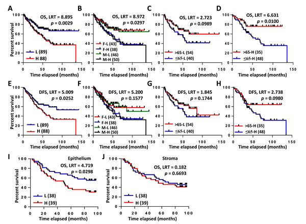 Kaplan-Meier analyses of