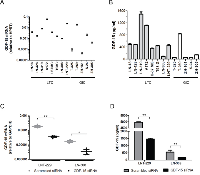 GDF-15 is expressed in glioma cells including GIC and can be silenced by RNA interference.
