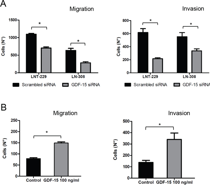 GDF-15 gene silencing reduces glioma cell migration and invasion.