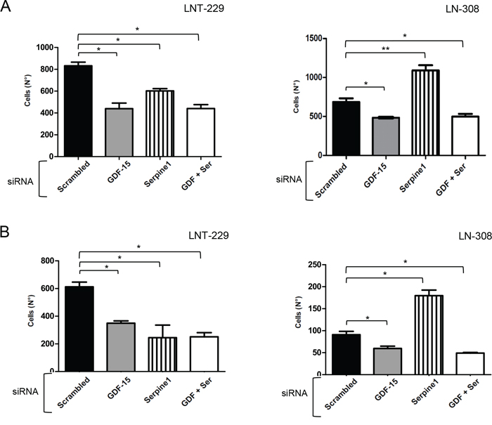 GDF-15 and serpine1 act independently on glioma cell migration and invasion.