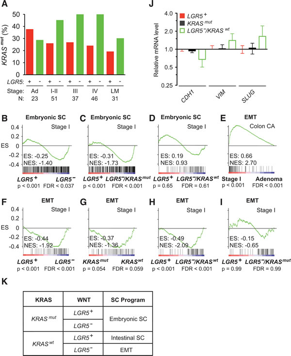 Activation of the embryonic SC-like and EMT programs in