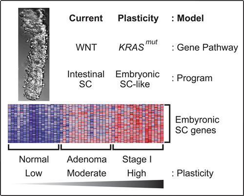 Figure 7: