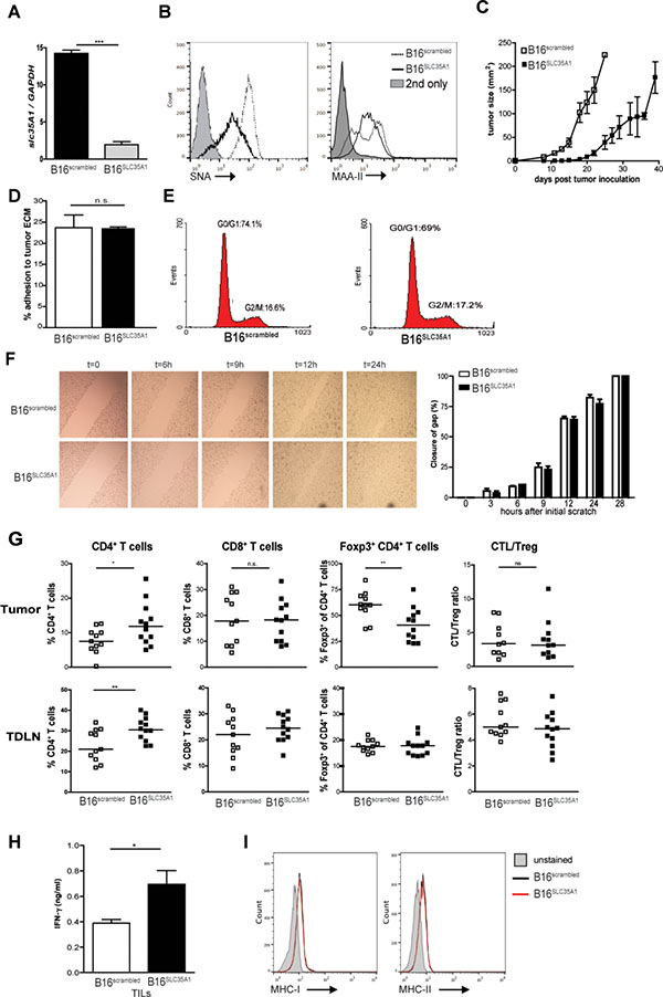 Reduced sialic acid levels on B16 melanoma decline Treg frequencies and increase effector T cell numbers and tumor control.