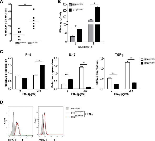 Increased numbers of intra-tumoral NK cells ignite an immunogenic milieu in B16SLC35A1 tumors via IFN-&#x03B3;.