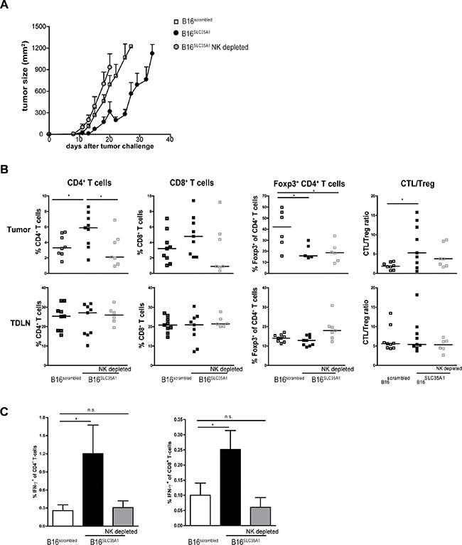 Depletion of NK cells in sialic acidlow tumor bearing mice abolishes induction of anti-tumor immunity.