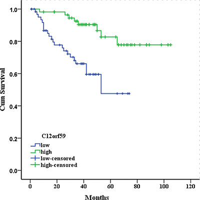Kaplan-Meier survival curves for 122 patients with clear cell renal cell carcinoma according to C12orf59 expression.