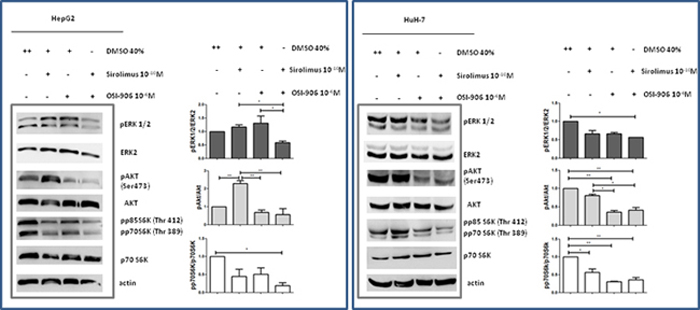 Effects of Sirolimus and OSI-906, alone and in combination, on AKT, p70S6K and ERK signalings after 30&#x2032; of treatment with drugs, in HepG2 and HuH-7 cell lines.