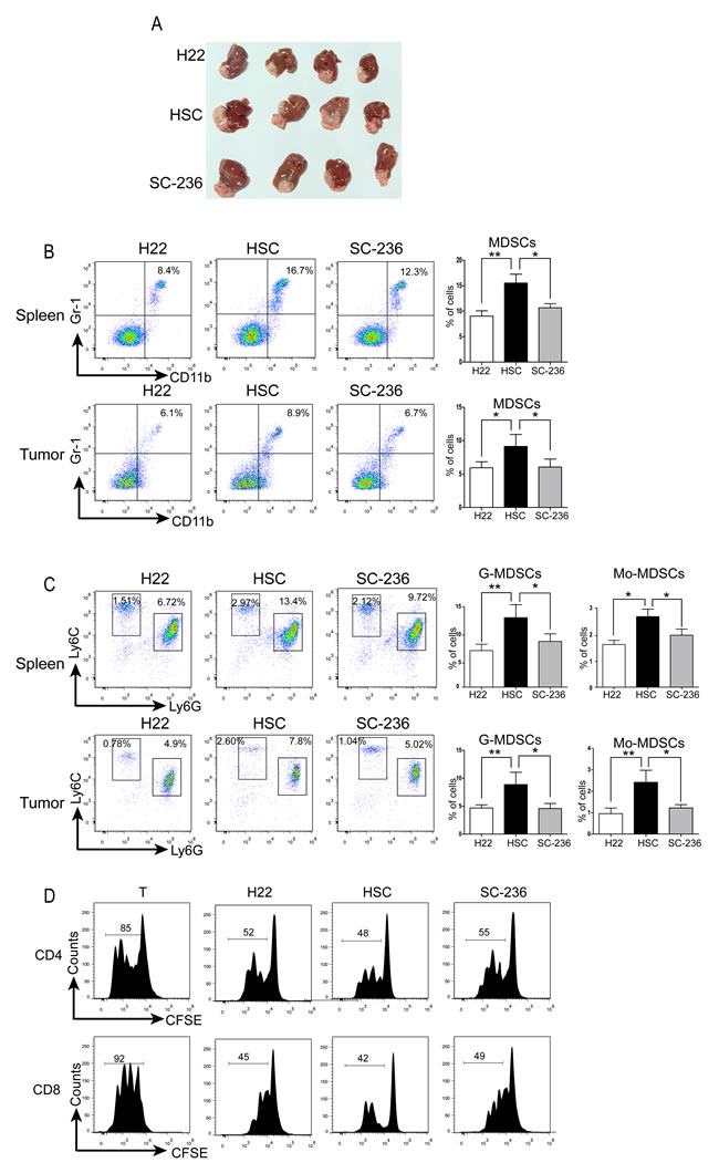 HSCs promoted HCC growth by inducing MDSCs