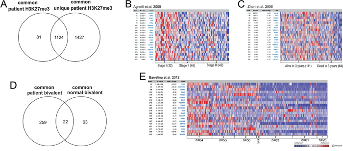 The MM H3K27me3 and bivalent genes overlap with previously defined Polycomb targets and gene repression in MM patients.