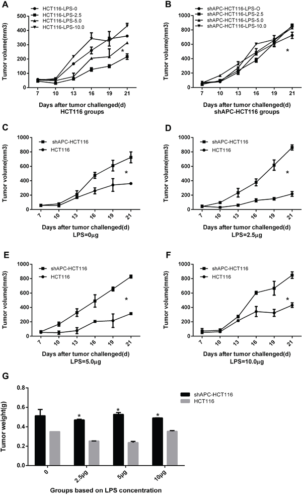The effect of LPS stimulation on HCT116 and shAPC-HC116 tumors in vivo.