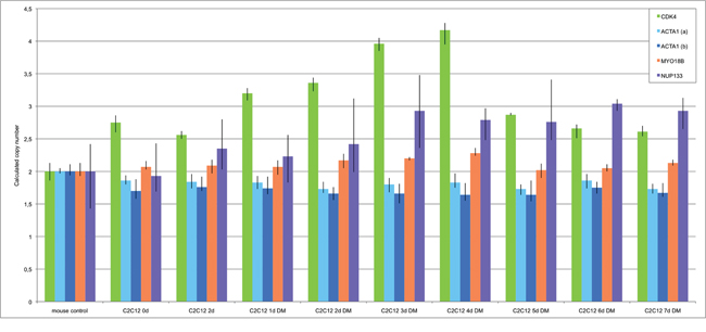 Amplification analysis of CDK4, ACTA1, MYO18B and NUP133 in differentiation induced C2C12 myoblast cells using qPCR.