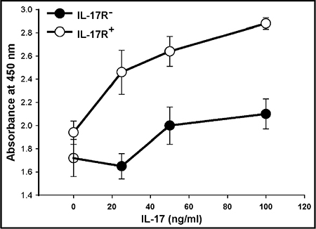 IL-17 enhances the proliferation of GSC-enriched IL-17R+ cells.