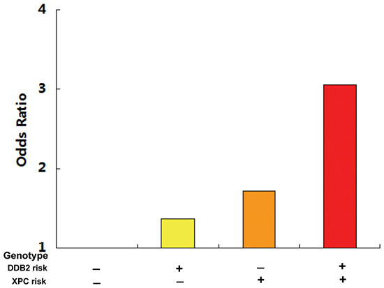 The combined detection of the DDB2 rs830083 and XPC rs2607775 risk genotypes demonstrated an even higher GC risk, with individuals carrying both risk genotypes having a 3.05-fold increased risk of developing GC.