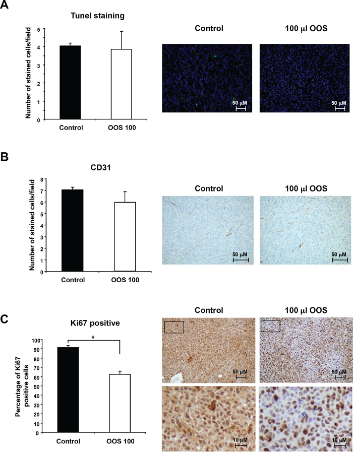 Figure 5. OOS induces a decrease in tumor proliferation.