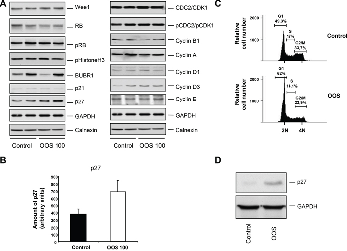 Figure 6. OOS causes accumulation of p27 and G1 arrest.