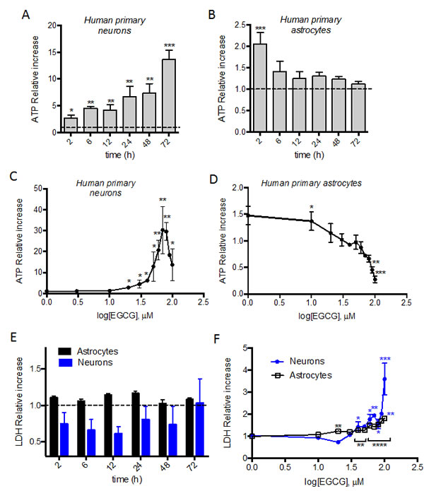 ATP modulation in neurons&#x2019; and astrocytes&#x2019; by EGCG treatment.