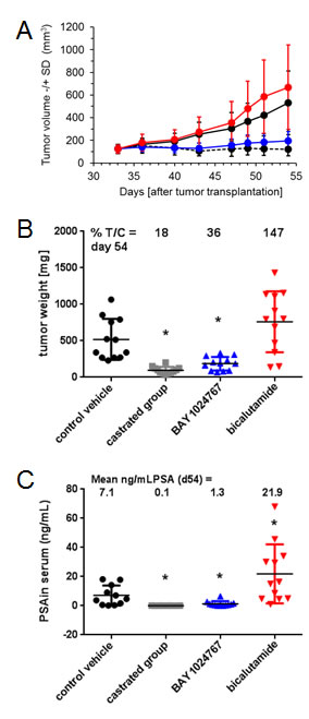 Comparison of the anti-tumor efficacy of BAY 1024767 and bicalutamide in the patient-derived KuCaP-1 model which contains a mutated AR form.