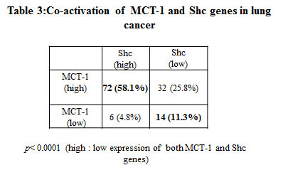 Table 3: The association of MCT-1 and Shc gene activation in lung cancer patients (LCPs).