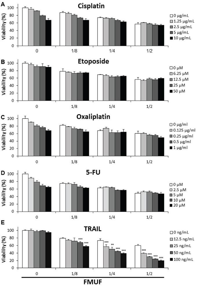 P. freudenreichii-fermented milk ultrafiltrate enhances the cytotoxic effect of TRAIL.