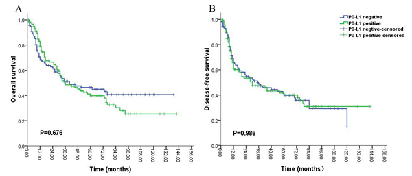 Kaplan-Meier survival analysis of PD-L1 expression and the prognosis including overall survival (A) and disease-free survival (B) for all the patients with gliomas.