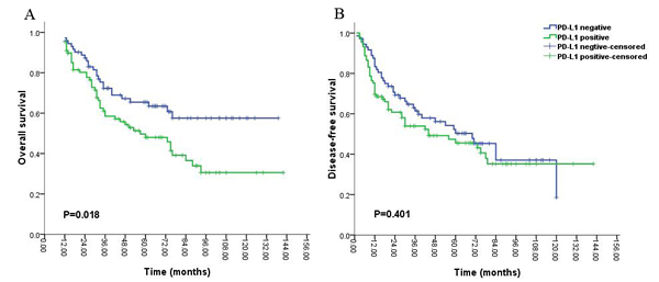 Kaplan-Meier survival analysis of PD-L1 expression and the prognosis including overall survival (A) and disease-free survival (B) for all the patients with gliomas during long-time survival or follow up.