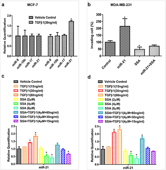 SSA regulates miR-21 expression through the blockade of TGF&#x03B2; signaling.