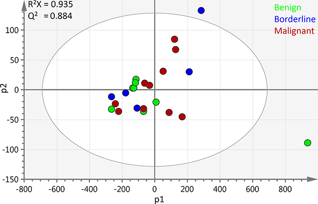 PCA scores plot of all ovarian cyst fluid 1H-NMR spectra: The first two principal components of the scores plot of all 23 samples are depicted above.