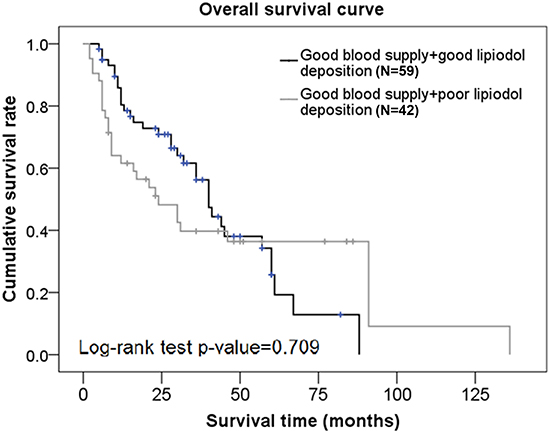 Overall survival curves in subjects from the good blood supply group who had different degrees of lipiodol deposition.