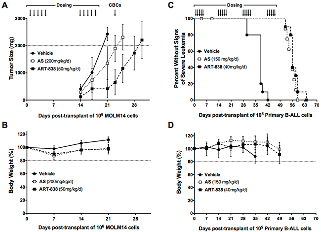 ART-838 inhibited growth of acute leukemia xenografts and primagrafts in NSG mice more potently than did AS.