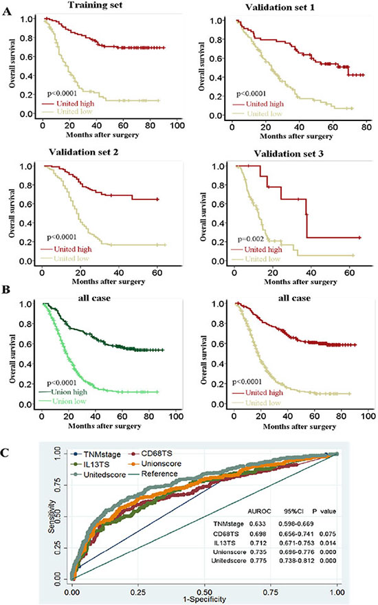 Prognosis prediction of united model compared with TNM stage, single immune marker and two-immune marker based model in survival function, sensitivity and specificity.