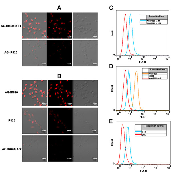 Figure 2: