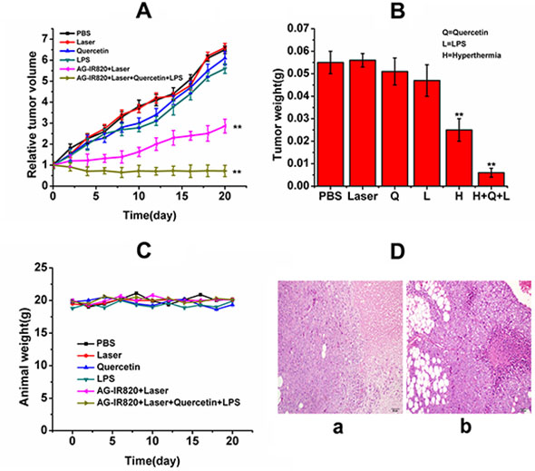 In vivo antitumor efficacy of different treatments on TT tumor bearing nude mice.