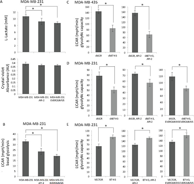 Effect of API-2, everolimus and B7-H3 on glycolysis in breast cancer cells.