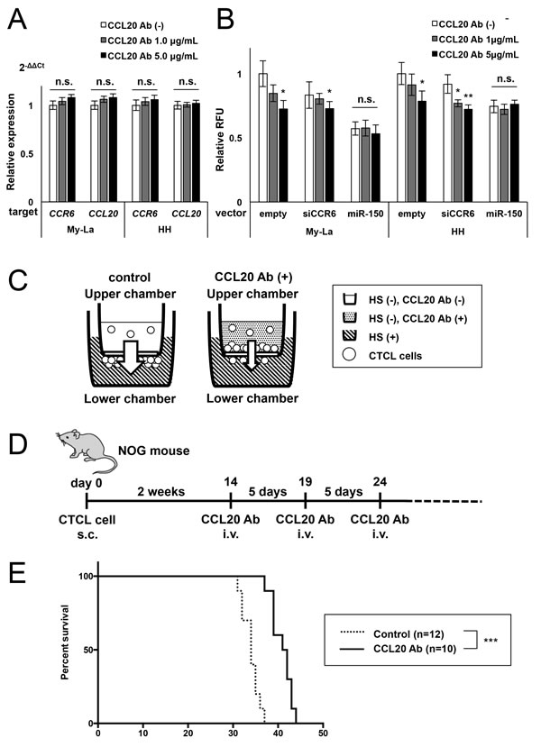 Migration inhibition by neutralizing CCL20 antibody in CTCL cells.
