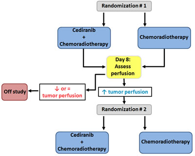 Hypothetical trial to evaluate tumor perfusion as a predictive biomarker for survival in GBM patients.
