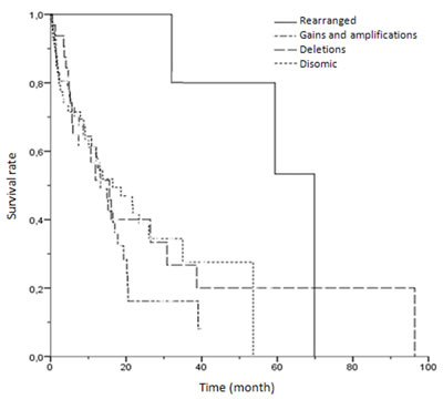 Kaplan-Meier univariate analysis of survival rates among patients with different