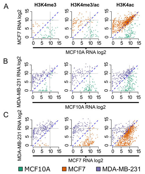 Genes dynamically marked by H3K4me3/ac are differentially expressed.