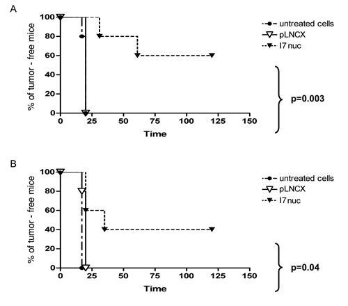 Inhibition of TC1 and C3 tumor growth by I7nuc intrabody expression.