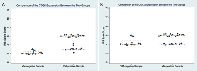 Comparison of IRS score in CD68 and COX-2 between VM-positive samples and VM-negative samples.