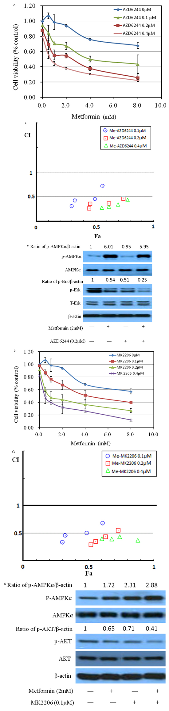 Effects of metformin on MB49 combined with ERK or AKT specific drugs.