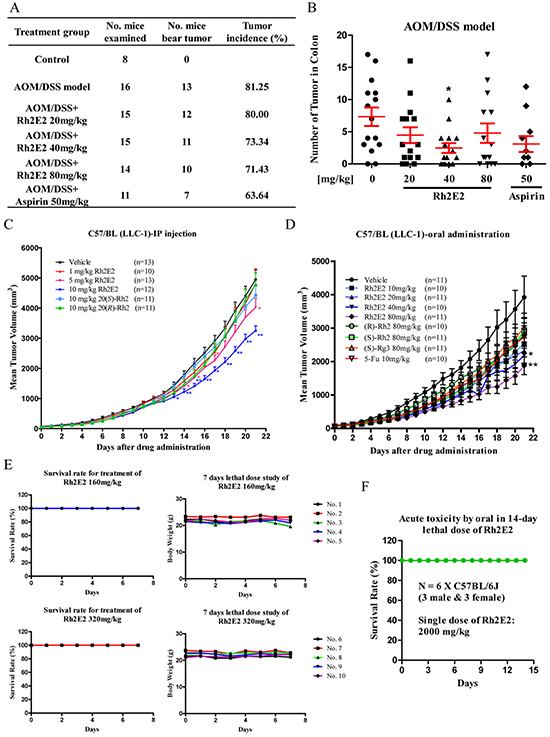 In vivo anti-tumor effect of Rh2E2 on AOM/DSS-induced colon carcinogenesis and LLC-1 xenograft mouse model.