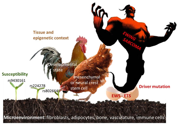 Factors involved in the pathogenesis of Ewing sarcoma.